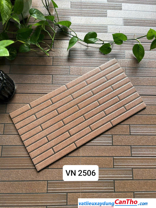 Việt Nhật VN 2506